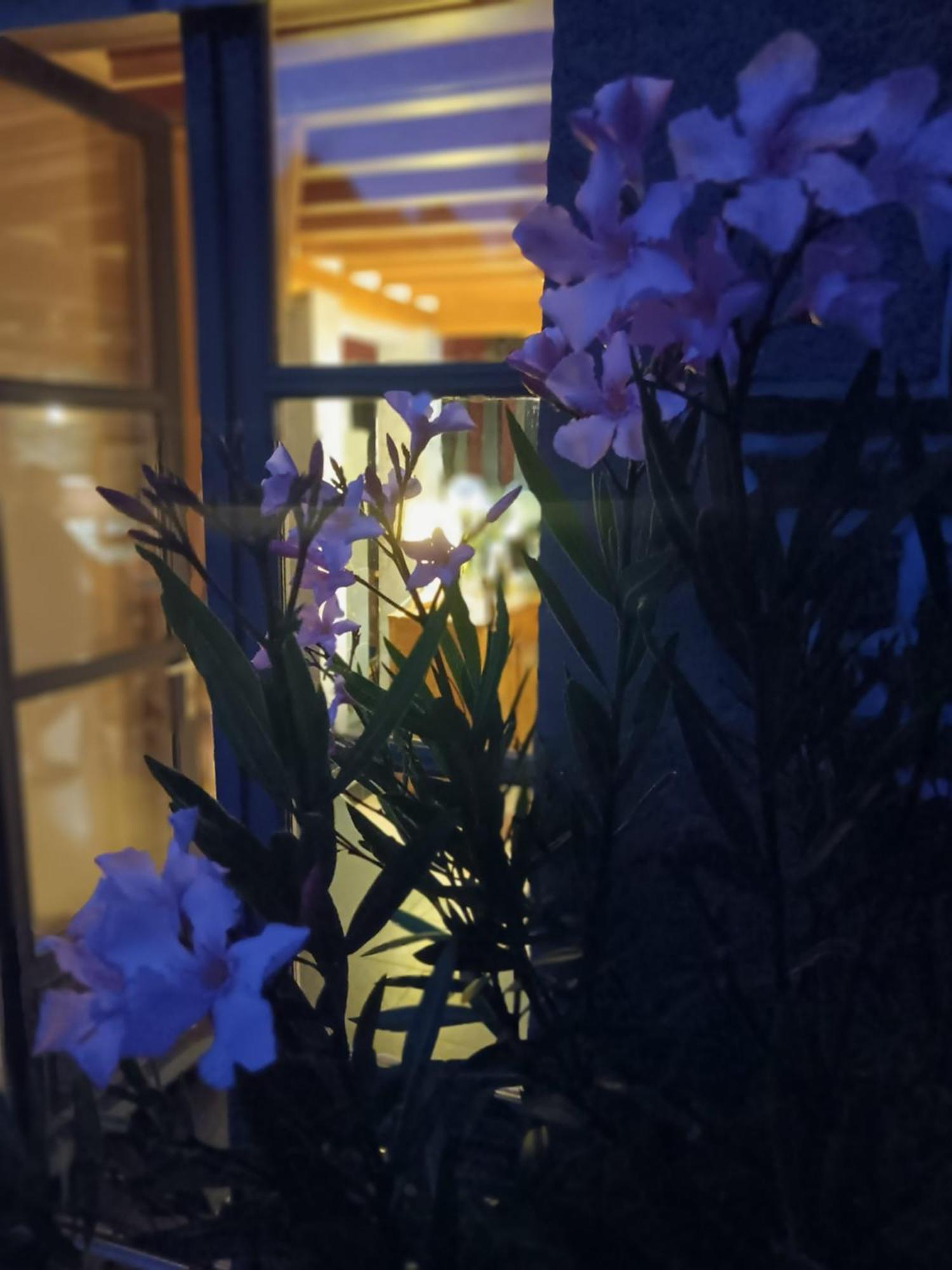 Le Val Daniniere B&B Adult Only Le Mesnil-Garnier Dış mekan fotoğraf